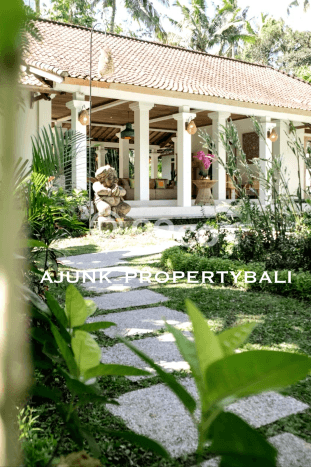 HARGA TERBAIK! Vila Kawasan Ubud, Ukuran 4000m2m², Kawasan Berkembang dengan nilai meningkat HARGA TERBAIK! Vila Kawasan Ubud, Ukuran 4000m2m², Kawasan Berkembang dengan nilai meningkat