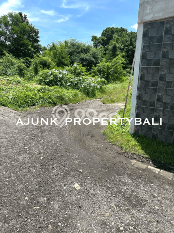 Tanah Siap Bangun Dijual di Badung Punya Luas 215m2 Tanah Siap Bangun Dijual di Badung Punya Luas 215m2
