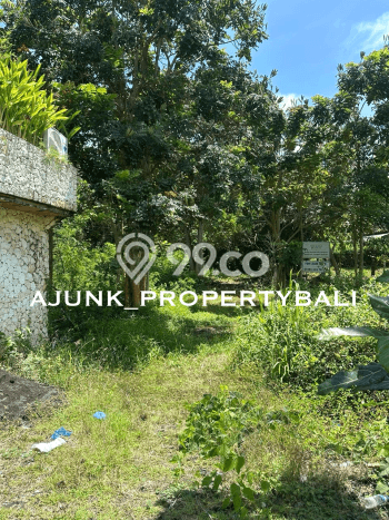 Tanah Siap Bangun Dijual di Badung Punya Luas 215m2 Tanah Siap Bangun Dijual di Badung Punya Luas 215m2