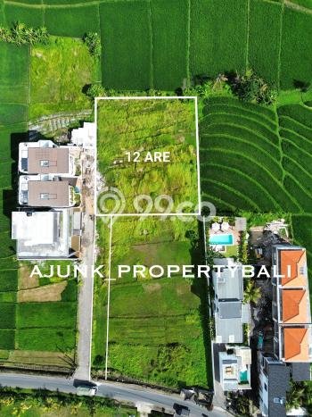 Dijual Tanah di Badung, Luas 1200m2 SHM Dijual Tanah di Badung, Luas 1200m2 SHM