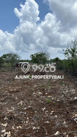 Dijual Tanah di Badung, Luas 2200m2 SHM Dijual Tanah di Badung, Luas 2200m2 SHM