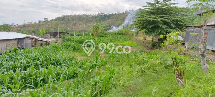 Kavling Tanah di Prigen Dijual Luas 1293m2 Legalitas SHM Kavling Tanah di Prigen Dijual Luas 1293m2 Legalitas SHM