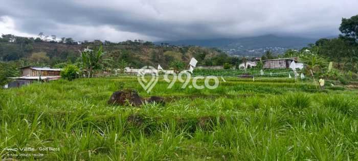 Kavling Tanah di Prigen Dijual Luas 1293m2 Legalitas SHM Kavling Tanah di Prigen Dijual Luas 1293m2 Legalitas SHM