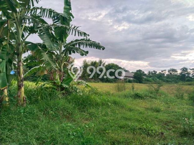 Tanah Dijual Lokasi Cikupa, Tangerang Luas 11000m2 Legalitas Aman Tanah Dijual Lokasi Cikupa, Tangerang Luas 11000m2 Legalitas Aman