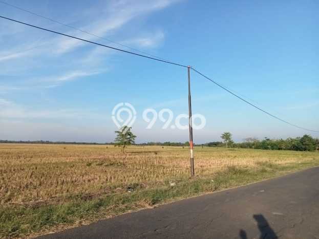 Lahan untuk Dijual Lokasi Jatitujuh, Majalengka Luas 1e+06m2 SHM Lahan untuk Dijual Lokasi Jatitujuh, Majalengka Luas 1e+06m2 SHM