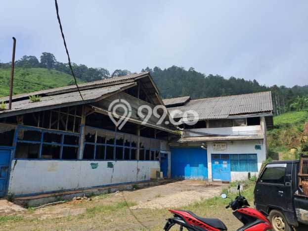 Kavling Tanah Dijual di Lemahsugih Majalengka Spesifikasi 420000m2 Kavling Tanah Dijual di Lemahsugih Majalengka Spesifikasi 420000m2