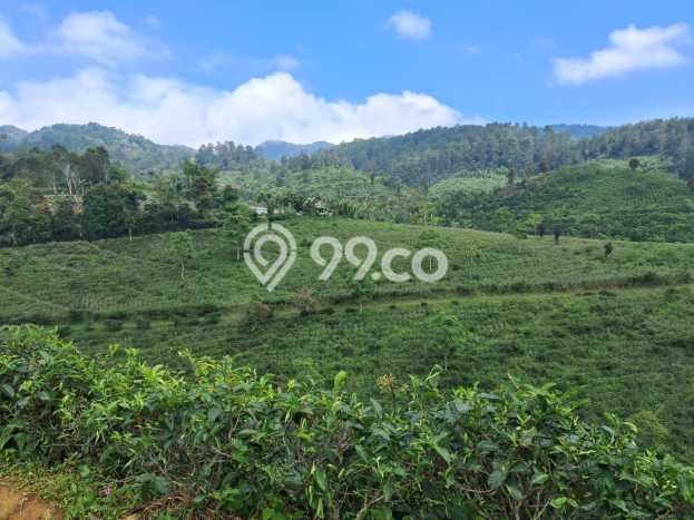 Kavling Tanah Dijual di Lemahsugih Majalengka Spesifikasi 420000m2 Kavling Tanah Dijual di Lemahsugih Majalengka Spesifikasi 420000m2
