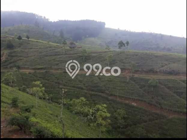 Kavling Tanah Dijual di Lemahsugih Majalengka Spesifikasi 420000m2 Kavling Tanah Dijual di Lemahsugih Majalengka Spesifikasi 420000m2