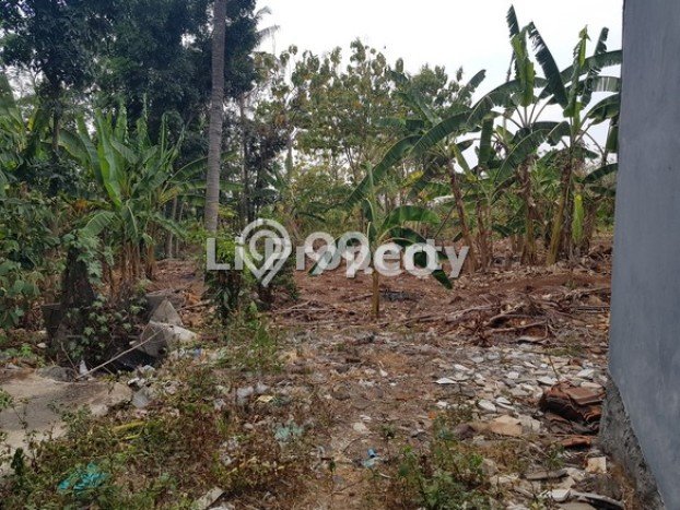 Tanah Kosong Dijual di Semarang dengan Area 6724m2 Tanah Kosong Dijual di Semarang dengan Area 6724m2