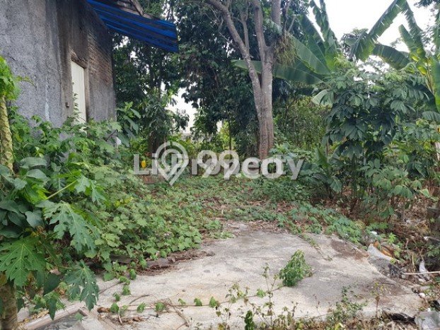 Tanah Kosong Dijual di Semarang dengan Area 6724m2 Tanah Kosong Dijual di Semarang dengan Area 6724m2