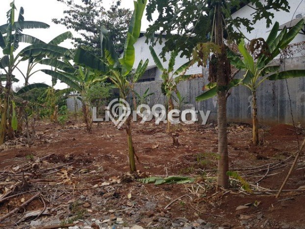 Tanah Kosong Dijual di Semarang dengan Area 6724m2 Tanah Kosong Dijual di Semarang dengan Area 6724m2