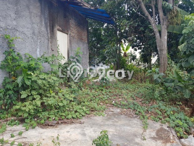 Tanah Kosong Dijual di Semarang dengan Area 6724m2 Tanah Kosong Dijual di Semarang dengan Area 6724m2