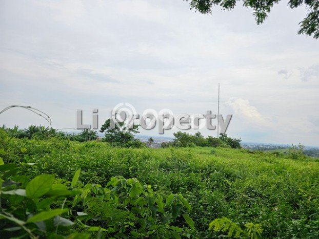 Untuk Dijual Tanah di Semarang, Luas 338m2 - Untuk Dijual Tanah di Semarang, Luas 338m2 -