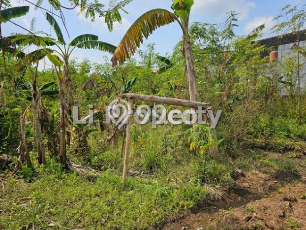 Tanah Dijual Lokasi Pedurungan, Semarang dengan Luas Tanah 418m2 dan Status - Tanah Dijual Lokasi Pedurungan, Semarang dengan Luas Tanah 418m2 dan Status -