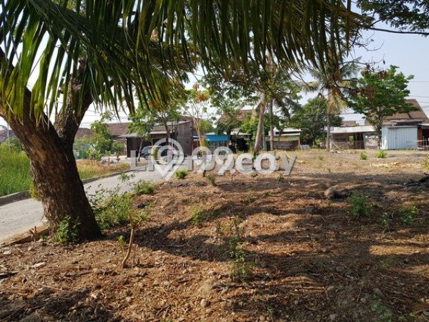 Tanah Disewa di Genuksari Strategis dan Memiliki Luas 520m2 Tanah Disewa di Genuksari Strategis dan Memiliki Luas 520m2