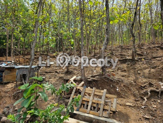 Tanah Strategis Dijual di Gajah Mungkur Semarang 30000m2 Tanah Strategis Dijual di Gajah Mungkur Semarang 30000m2