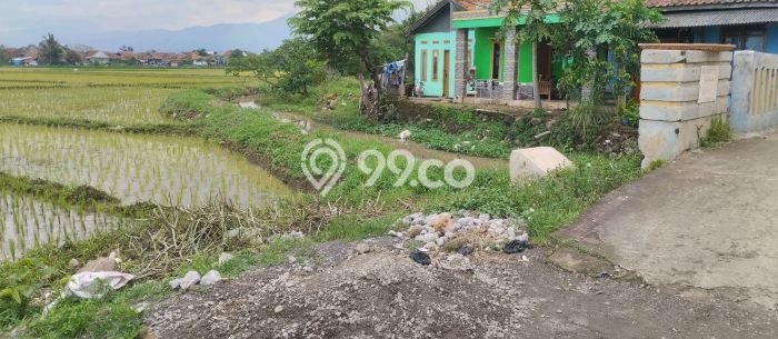 Kavling Tanah di Rancaekek Dijual Luas 3234m2 Legalitas AJB Kavling Tanah di Rancaekek Dijual Luas 3234m2 Legalitas AJB