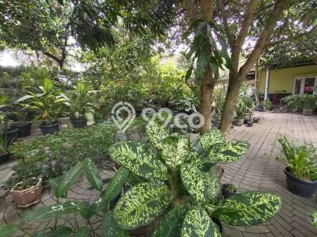 Rumah Area Nyaman di Kasihan, Bantul, LT 1052m2m² LB 300m2m² Rumah Area Nyaman di Kasihan, Bantul, LT 1052m2m² LB 300m2m²