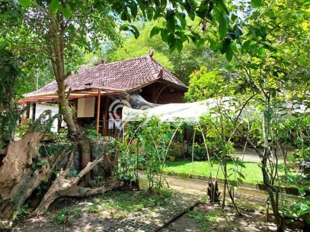 Best Deal Hunian Mewah Ideal dan Luas di Kasihan, Bantul Best Deal Hunian Mewah Ideal dan Luas di Kasihan, Bantul