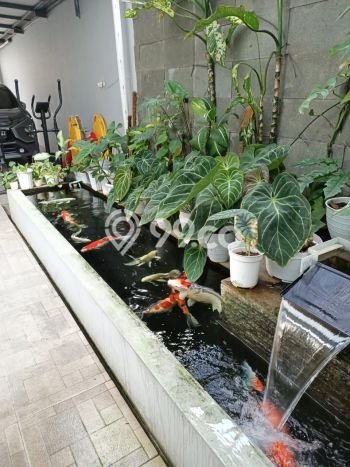 Investasi Masa Depan 4 Kamar Tidur Akses Dekat di Jantung Kota Sewon, Bantul Investasi Masa Depan 4 Kamar Tidur Akses Dekat di Jantung Kota Sewon, Bantul