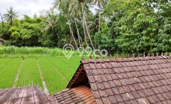 Rumah Mewah Siap Huni LT 2050m2 di Seyegan, Sleman Rumah Mewah Siap Huni LT 2050m2 di Seyegan, Sleman