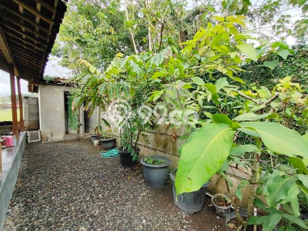 BEST PRICE! Rumah Berkualitas area Pajangan, Luas 671m2m² Bangunan 200m2m² BEST PRICE! Rumah Berkualitas area Pajangan, Luas 671m2m² Bangunan 200m2m²