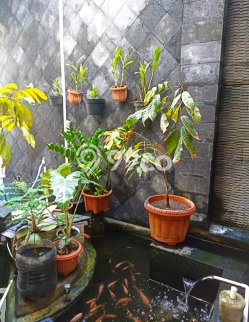 DIJUAL CEPAT! Rumah Siap Huni Lokasi Premium Caturtunggal, LT 166m2m² LB 170m2m² DIJUAL CEPAT! Rumah Siap Huni Lokasi Premium Caturtunggal, LT 166m2m² LB 170m2m²