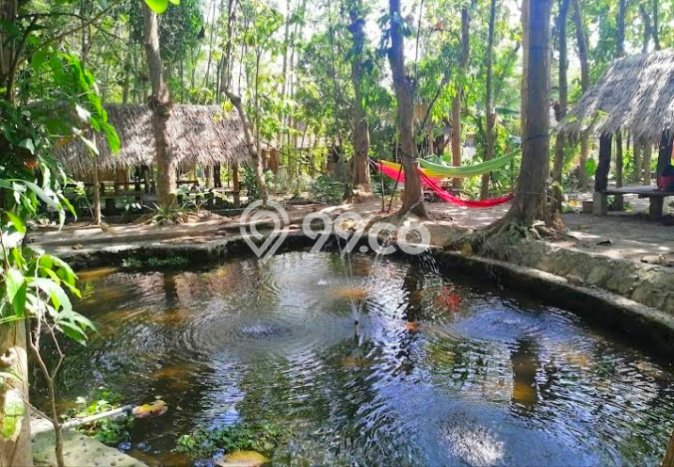 Rumah Mewah Siap Huni LT 2050m2 di Seyegan, Sleman Rumah Mewah Siap Huni LT 2050m2 di Seyegan, Sleman