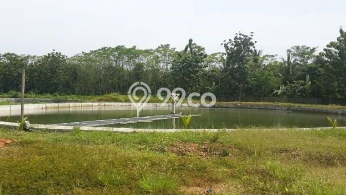 Tanah Dijual Lokasi Carita, Pandeglang dengan Luas Tanah 40000m2 dan Status SHM Tanah Dijual Lokasi Carita, Pandeglang dengan Luas Tanah 40000m2 dan Status SHM