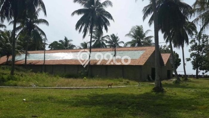 Tanah Dijual Lokasi Carita, Pandeglang dengan Luas Tanah 40000m2 dan Status SHM Tanah Dijual Lokasi Carita, Pandeglang dengan Luas Tanah 40000m2 dan Status SHM