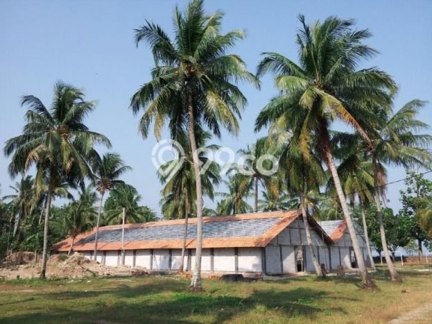 Tanah Dijual Lokasi Carita, Pandeglang dengan Luas Tanah 40000m2 dan Status SHM Tanah Dijual Lokasi Carita, Pandeglang dengan Luas Tanah 40000m2 dan Status SHM