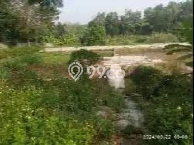 Jarang Ada! Tanah di Cikande Punya Luas 29207m2 SHM Jarang Ada! Tanah di Cikande Punya Luas 29207m2 SHM
