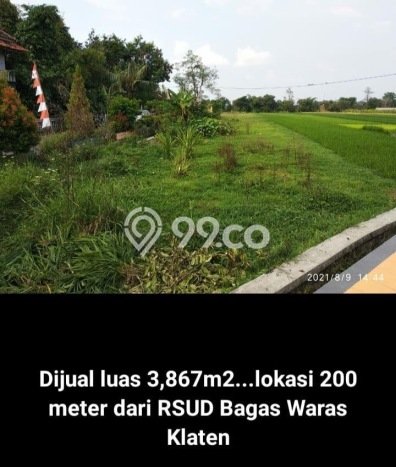 Tanah Strategis di Gemolong, Luas 3867m², Dekat Gemolong, Sragen, Sragen Tanah Strategis di Gemolong, Luas 3867m², Dekat Gemolong, Sragen, Sragen