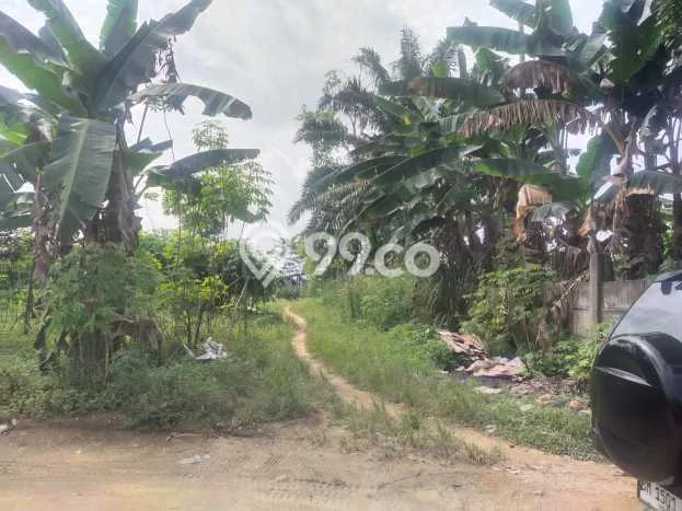 Lahan Kosong Dijual di Siak Hulu, Kampar, Luas 12180m2 Area Strategis Lahan Kosong Dijual di Siak Hulu, Kampar, Luas 12180m2 Area Strategis