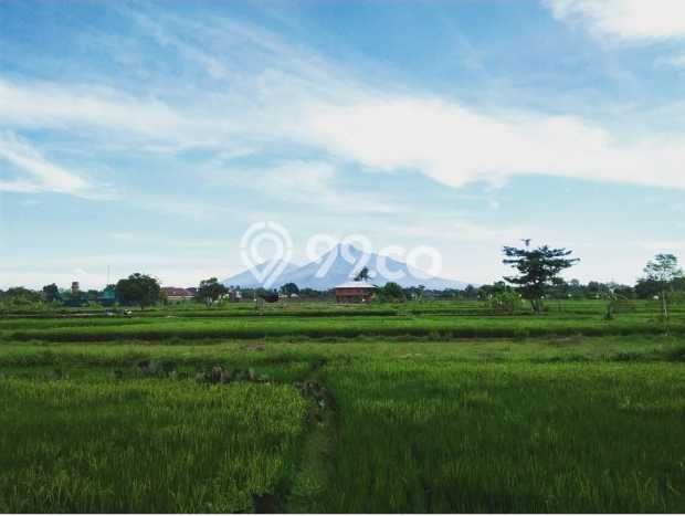 Rumah Luxury Modern Siap Huni di Sleman Yogyakarta Rumah Luxury Modern Siap Huni di Sleman Yogyakarta