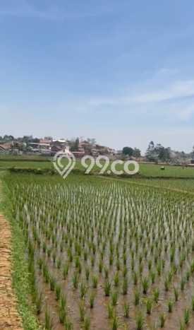 Dijual Tanah Lokasi Cimanggu, Sumedang Seluas 1735m2 Dijual Tanah Lokasi Cimanggu, Sumedang Seluas 1735m2