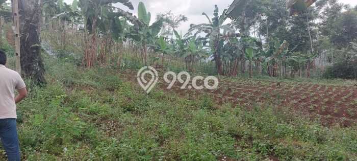 Dijual Tanah Lokasi Campaka Mulya, Cianjur Seluas 20000m2 Dijual Tanah Lokasi Campaka Mulya, Cianjur Seluas 20000m2