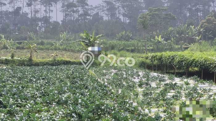 Tanah Lokasi Potensial Kawasan Lembang, Luas 5460m2m², Dekat ke Pusat Kota, Akses Lembang, Bandung, Bandung Tanah Lokasi Potensial Kawasan Lembang, Luas 5460m2m², Dekat ke Pusat Kota, Akses Lembang, Bandung, Bandung