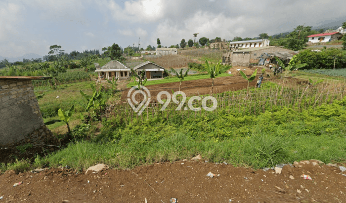 Tanah Dijual Lokasi Pacet, Cianjur dengan Luas Tanah 4172m2 dan Status SHM Tanah Dijual Lokasi Pacet, Cianjur dengan Luas Tanah 4172m2 dan Status SHM