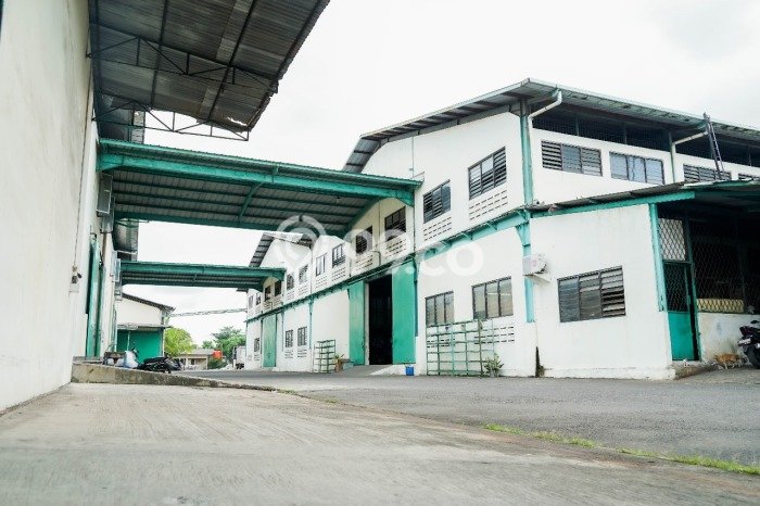 Gudang Bagus Dijual di Jurumudi Tangerang Strategis Cocok untuk Kembangkan Bisnis Gudang Bagus Dijual di Jurumudi Tangerang Strategis Cocok untuk Kembangkan Bisnis