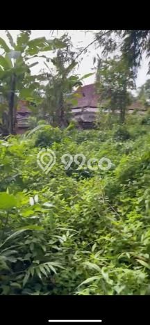 Tanah Disewa di Pejeng Strategis dan Memiliki Luas 700m2 Tanah Disewa di Pejeng Strategis dan Memiliki Luas 700m2