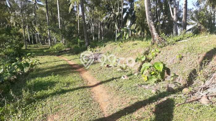 Tanah Strategis Disewakan di Tabanan Tabanan Seluas 28000m2 Tanah Strategis Disewakan di Tabanan Tabanan Seluas 28000m2