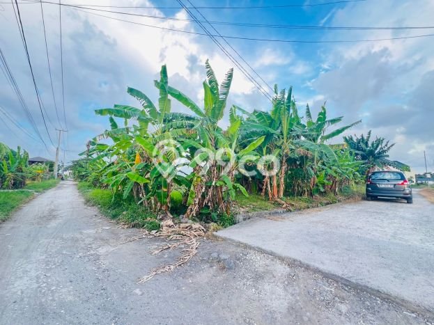 Tanah Area Berkembang Kawasan Pererenan, Luas 3985m2m², Dekat ke Pusat Kota, Akses Pererenan, Badung, Badung Tanah Area Berkembang Kawasan Pererenan, Luas 3985m2m², Dekat ke Pusat Kota, Akses Pererenan, Badung, Badung