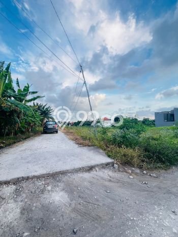 Tanah Area Berkembang Kawasan Pererenan, Luas 3985m2m², Dekat ke Pusat Kota, Akses Pererenan, Badung, Badung Tanah Area Berkembang Kawasan Pererenan, Luas 3985m2m², Dekat ke Pusat Kota, Akses Pererenan, Badung, Badung