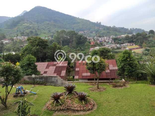 Ready to Use! Luxury House LT 3300m2 Desain Elegan di Puncak Ready to Use! Luxury House LT 3300m2 Desain Elegan di Puncak