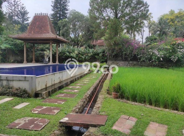 For Sale! Premium House LT 3000m2 Desain Elegan di Puncak For Sale! Premium House LT 3000m2 Desain Elegan di Puncak