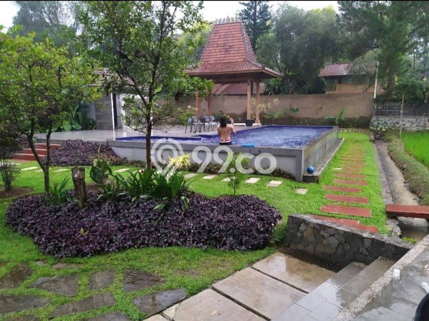 For Sale! Premium House LT 3000m2 Desain Elegan di Puncak For Sale! Premium House LT 3000m2 Desain Elegan di Puncak