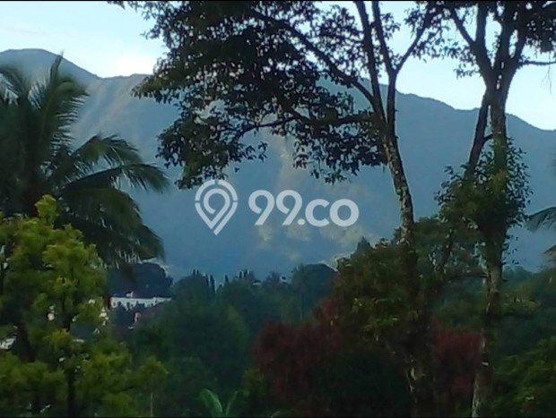 For Sale! Premium House LT 3000m2 Desain Elegan di Puncak For Sale! Premium House LT 3000m2 Desain Elegan di Puncak