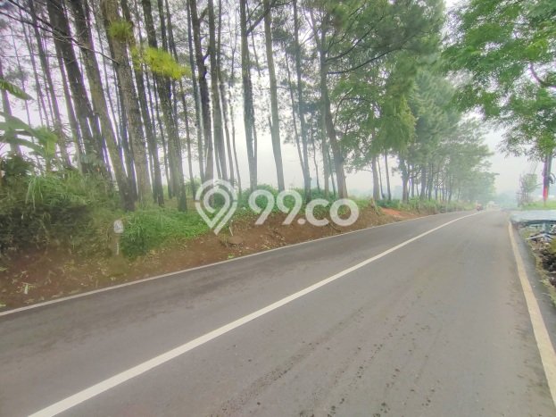 Lahan Dijual Lokasi Cisarua, Bandung Barat dengan Luas Tanah 2582m2 dan Status SHM Lahan Dijual Lokasi Cisarua, Bandung Barat dengan Luas Tanah 2582m2 dan Status SHM