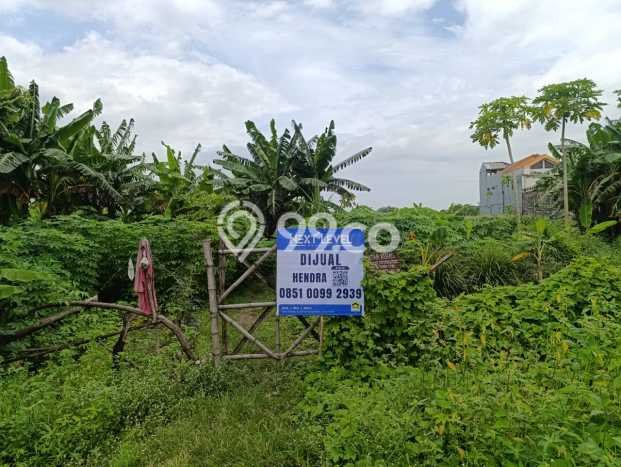 Kavling Tanah di Gresik Dijual Luas 31000m2 Legalitas SHM Kavling Tanah di Gresik Dijual Luas 31000m2 Legalitas SHM